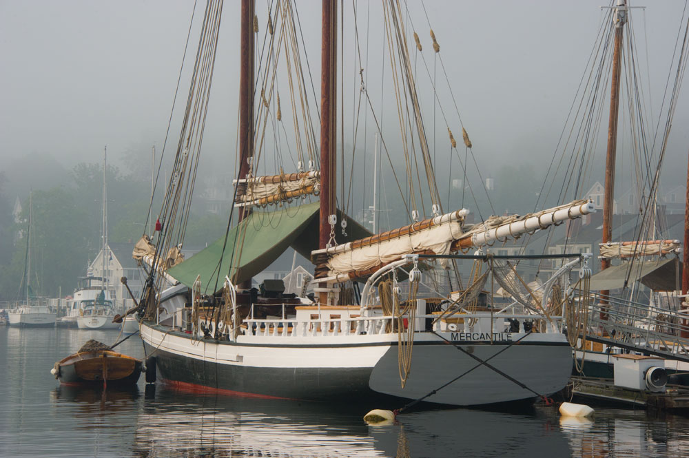 mainecoast_01