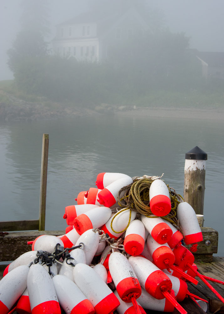 mainecoast_03
