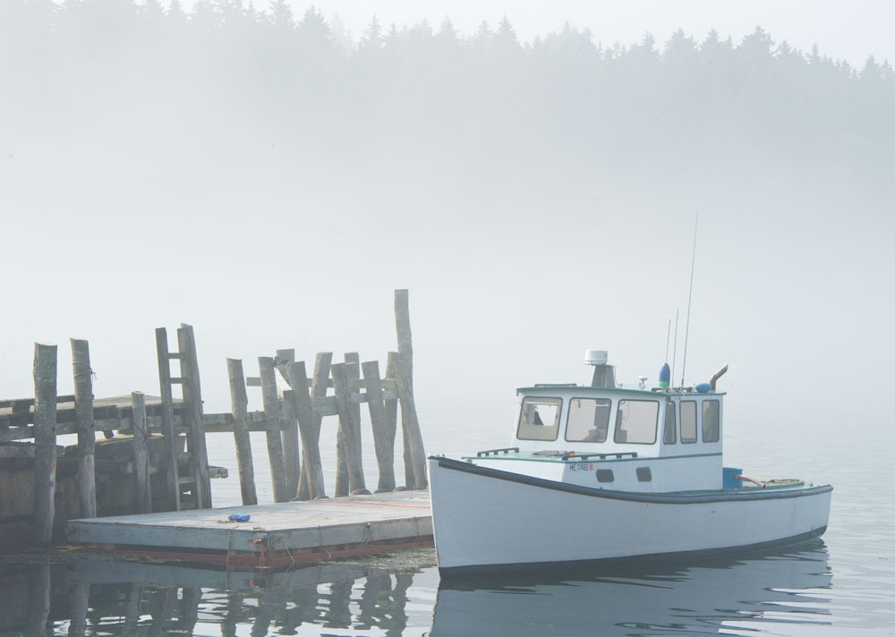 mainecoast_05