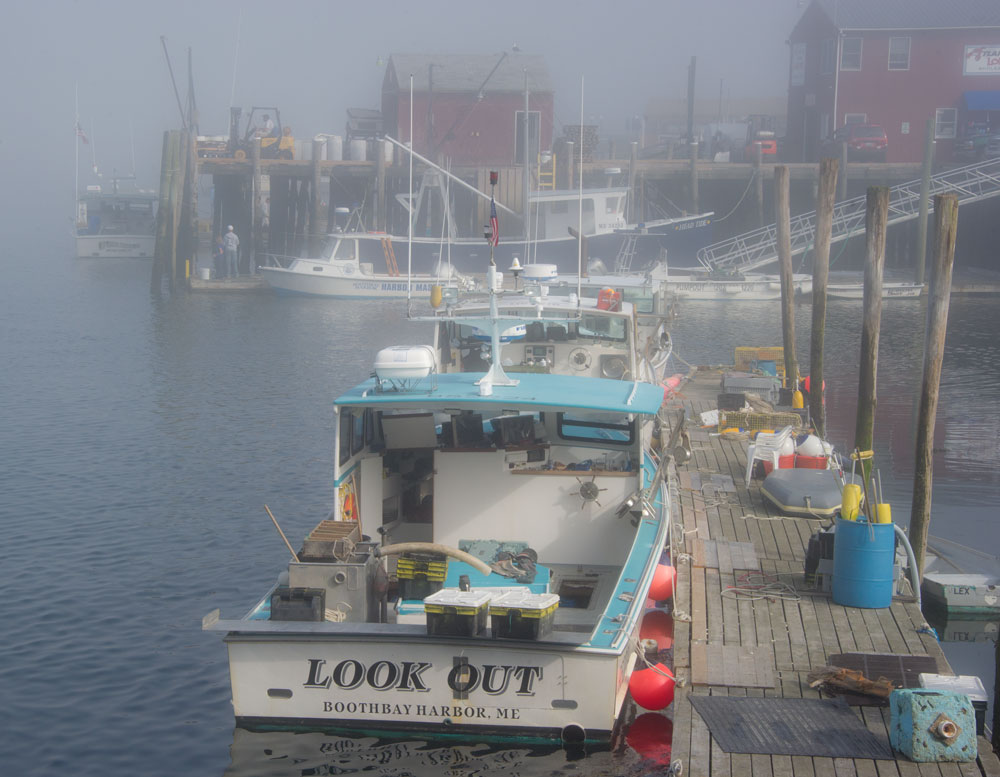mainecoast_12