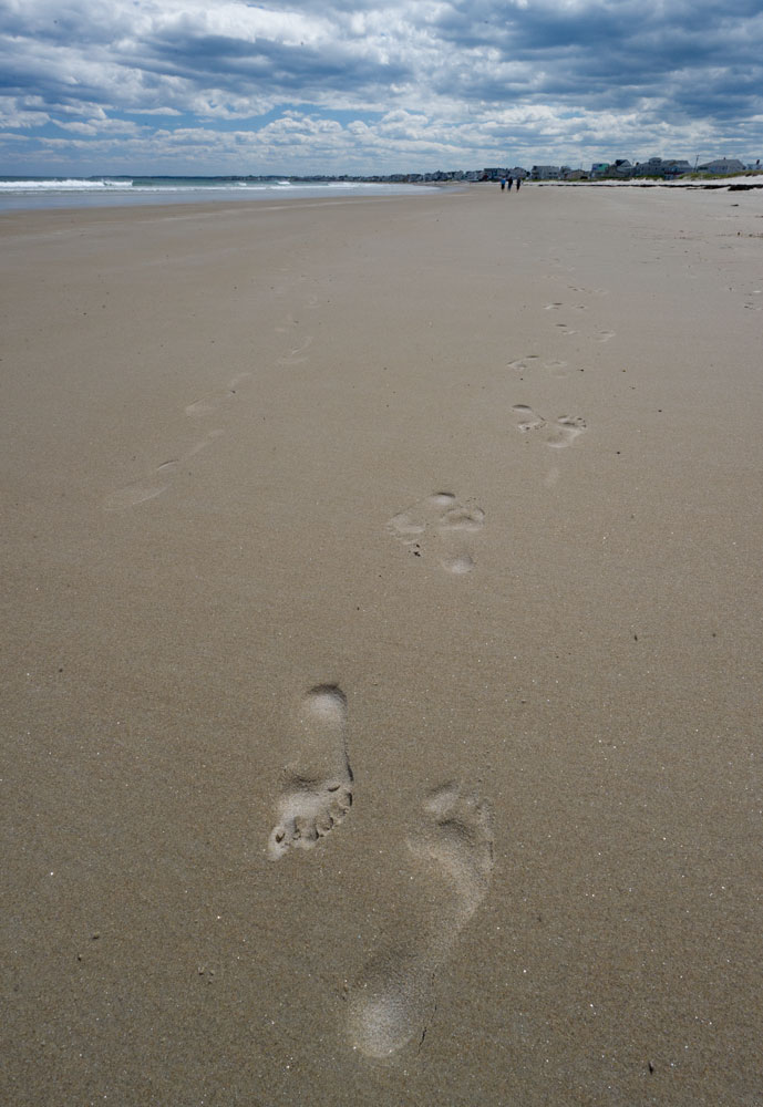 mainecoast_13