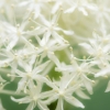 00127_s_11agqaxsjg0439
