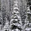 00137_s_11agqaxsjg0449