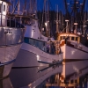 twilight-harbor-1