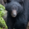 dsc3492