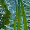 dsc4637